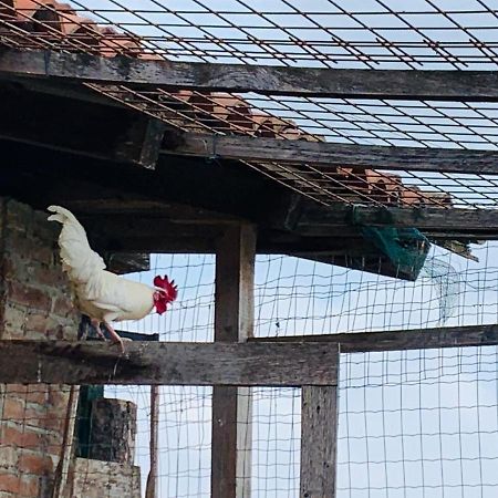 Willa Agriturismo Cascina Smeralda Pontestura Zewnętrze zdjęcie