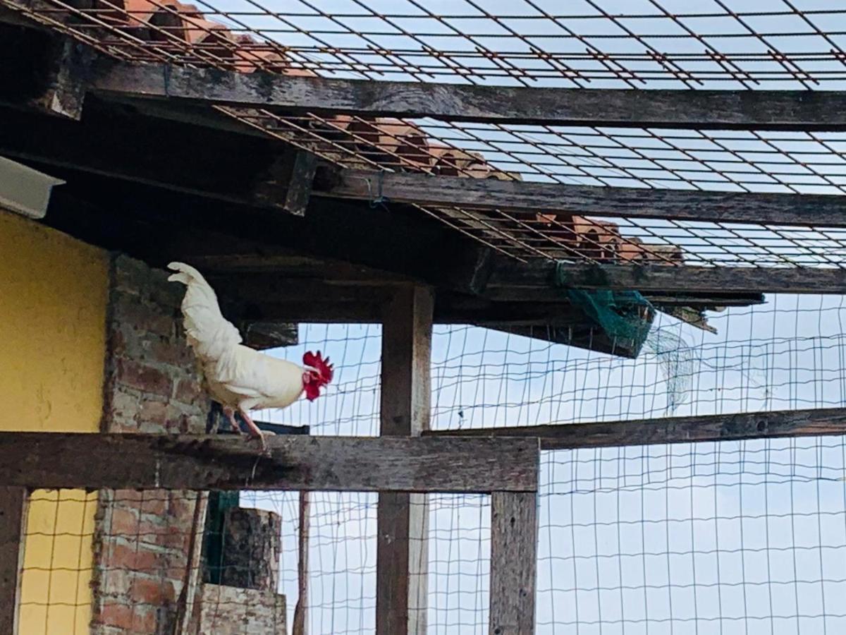 Willa Agriturismo Cascina Smeralda Pontestura Zewnętrze zdjęcie