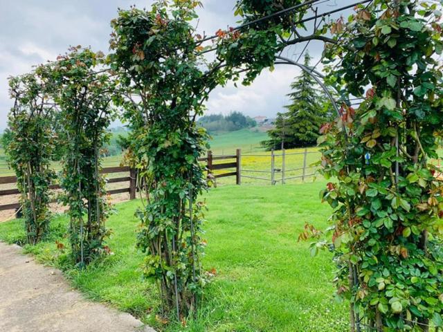 Willa Agriturismo Cascina Smeralda Pontestura Zewnętrze zdjęcie